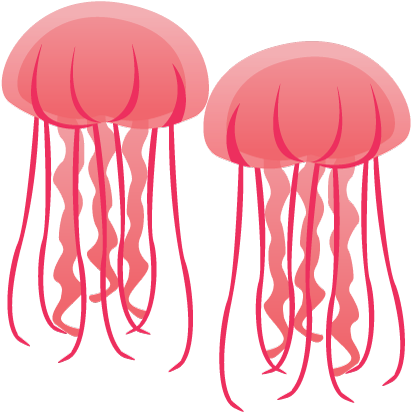 Image Result For Jellyfish Forever - The Washington Post (500x438)
