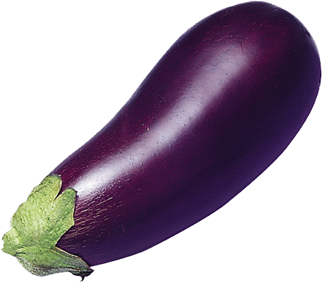 Eggplant - Eggplant .png (490x438)