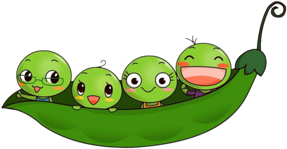 Pea Animation U8c4cu8c46u835a Icon - Pea Cartoon (700x700)