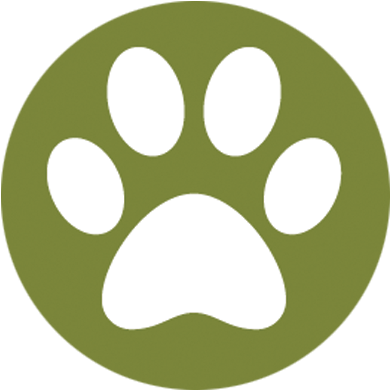 Paw Street Market - Paw Street Market (500x500)