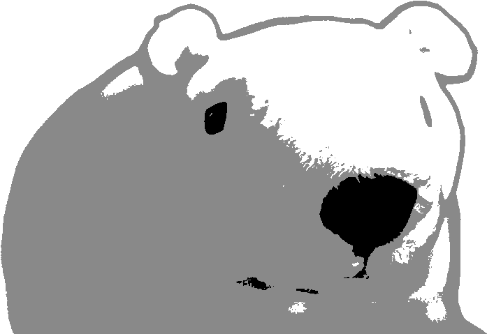 Plato - Illustration (800x533)