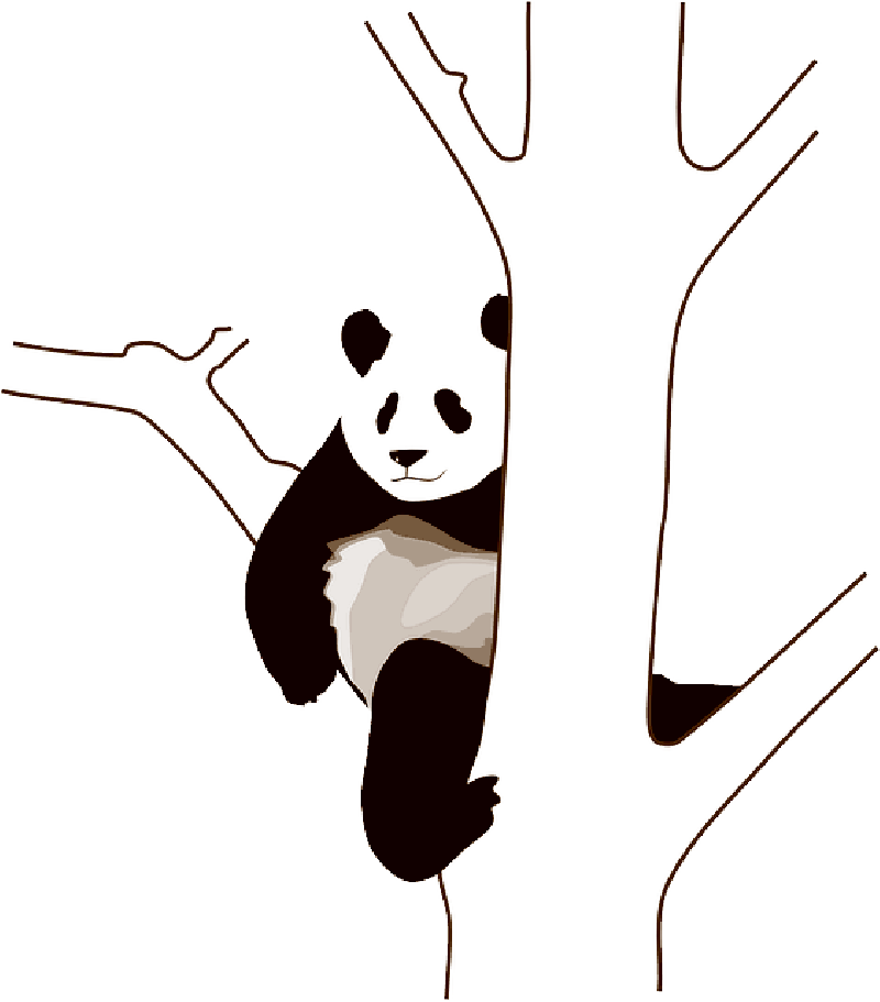 Baby, Tree, Cartoon, Wild, Bear, Cute, Bears, Panda - Panda Clip Art (800x911)