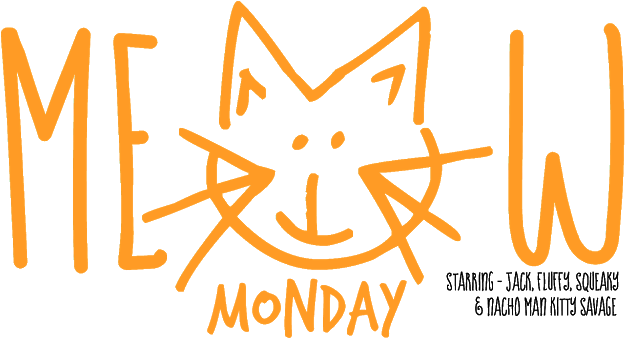 Pictures Of Cute Cats To Start Off Your Week - Zazzle Meow Monday Tote Bag (640x344)