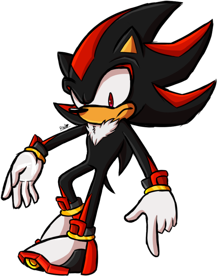 Shadow The Hedgehog Amy Rose Clip Art - Hedgehog (848x942)