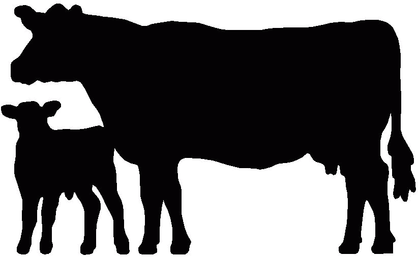 Show Heifer Clip Art - Cow And Calf Silhouette (822x506)