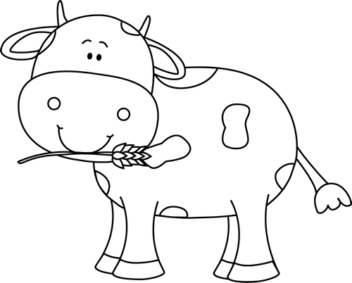Black And White Cow With Wheat In Its Mouth - Cow In Black And White (500x402)