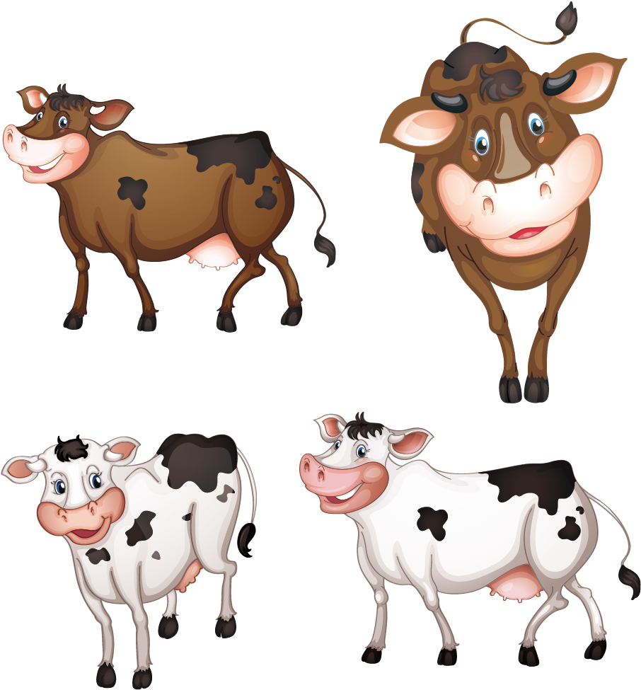 Cattle Sheep Milk Calf - Illustration (1240x1265)