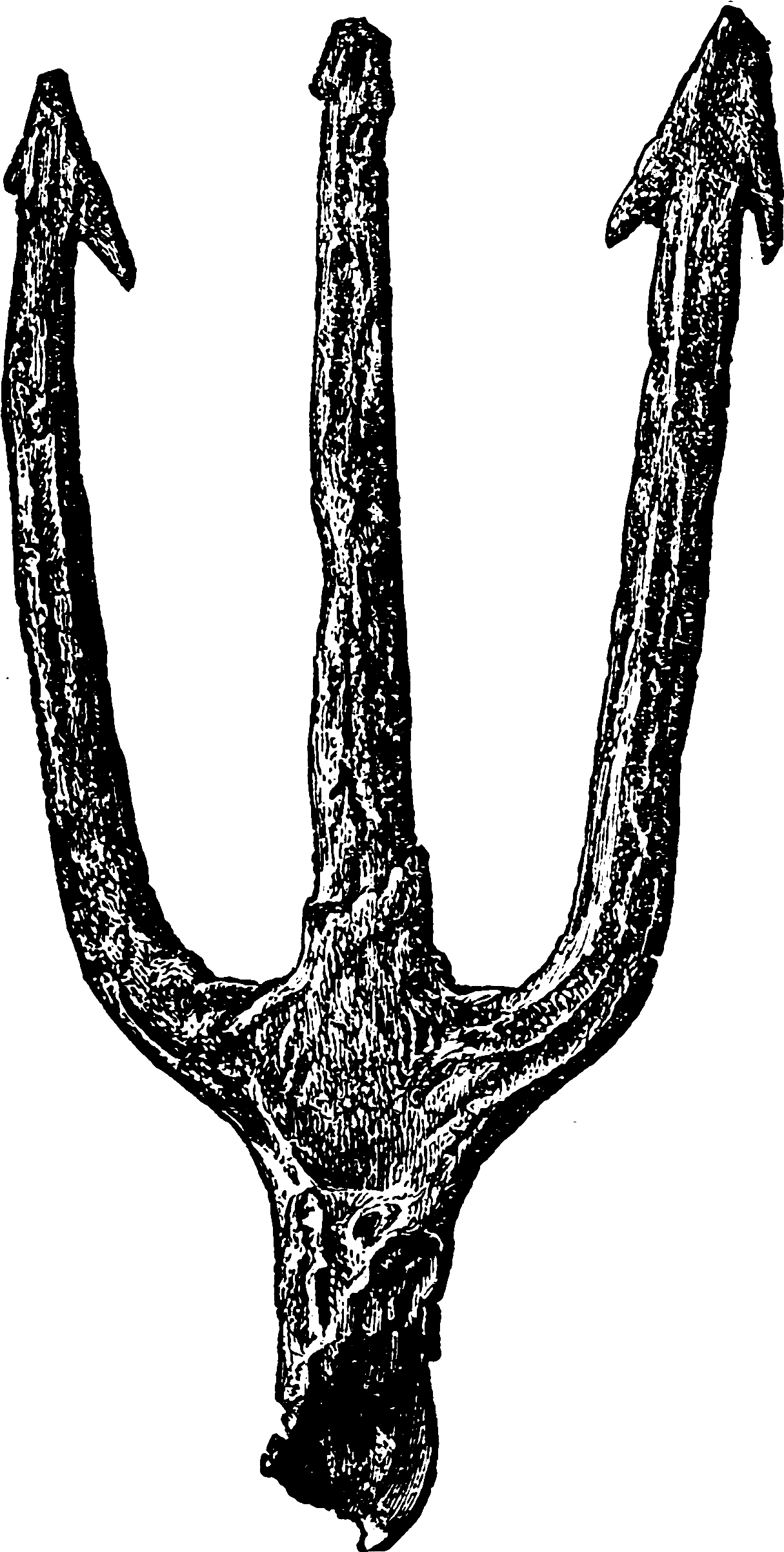 Athletics And Manly Sport - Athletics And Manly Sport (1288x2431)