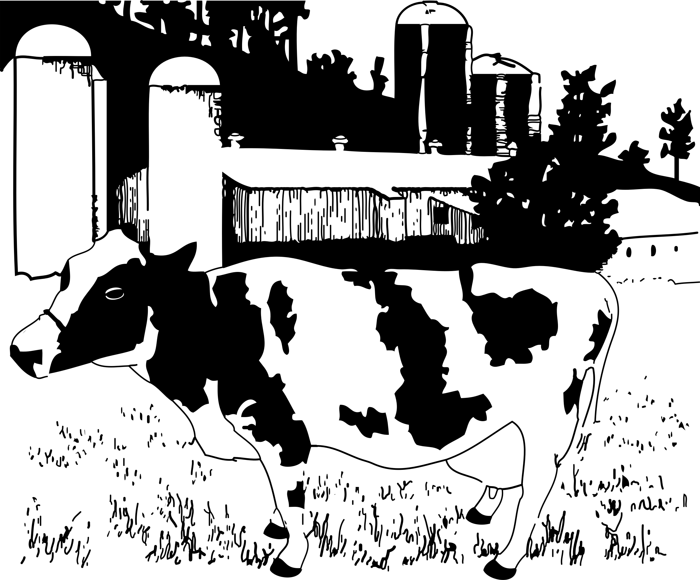 Корова черно белая картинка
