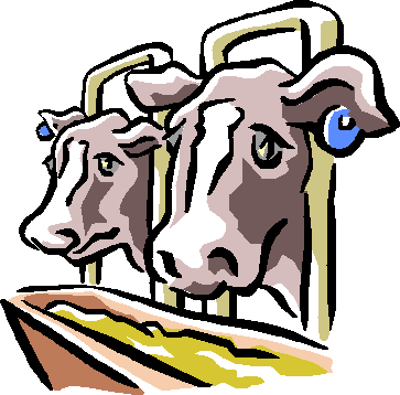 It Has The Most Insertions In The Yellow Pages Under - Cartoon Cow Feedlot (363x358)