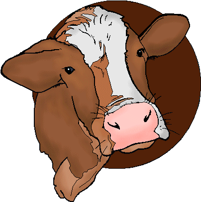 Beef Cow Head Clip Art - Dairy Cow (429x438)