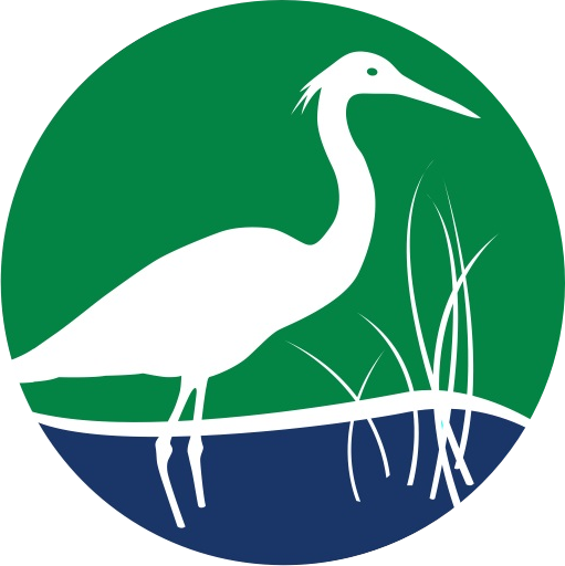 Bird - Floridas Water & Land Legacy (511x512)