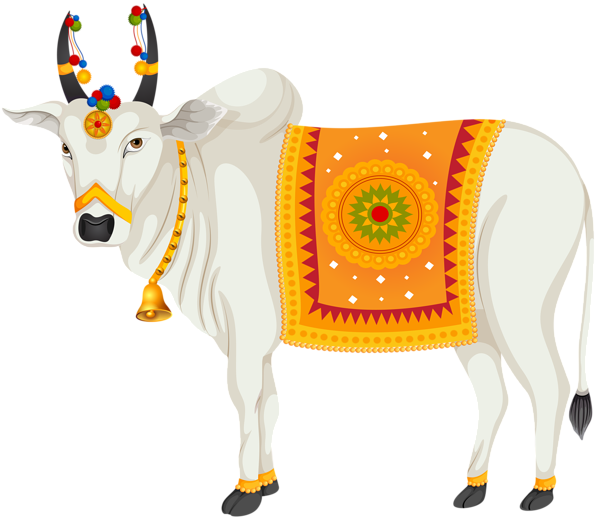 India Holy Cow Transparent Clip Art Image - Indian Cow Images Png (600x520)