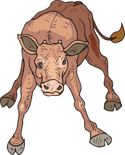 Wobbly Calf Clip Art - Clipart Calf (480x595)