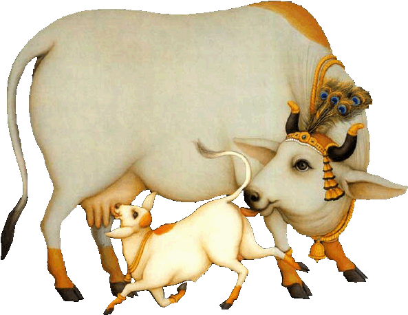 Pin Cow And Calf Clipart - Indian Cow & Calf (700x504)