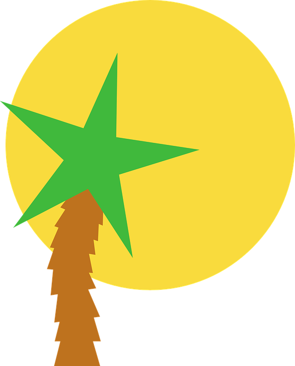 Imagenes Png Verano (581x720)
