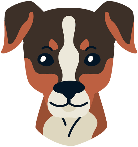 Fox Paulistinha Illustration Transparent Png - Dog Care Png (512x512)