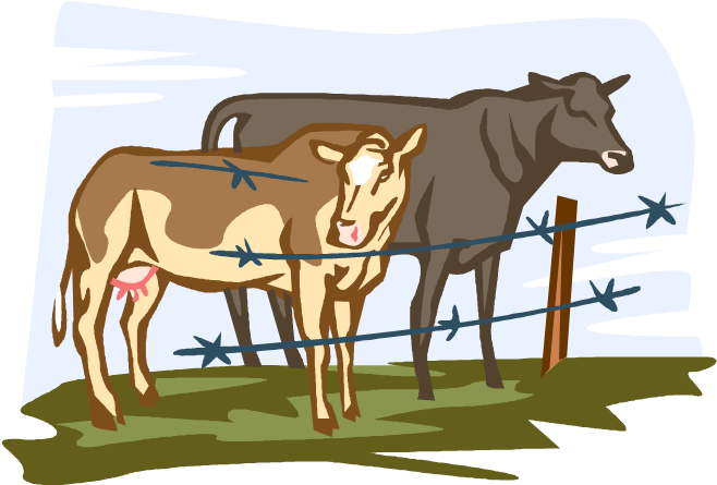 Cows Royalty Free Vector Clip Art Illustration - Proceso De La Leche (670x457)