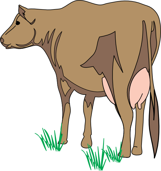 Clipart Of Cow And Calf - Cartoon Cow Back View (564x600)