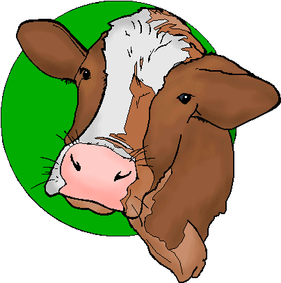 Cow Head Clipart - Clip Art (432x435)