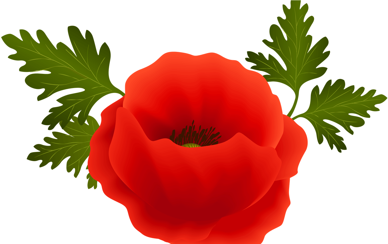 Poppy Png Clip Art Image Gallery Yopriceville High - Poppy Clipart (1368x855)