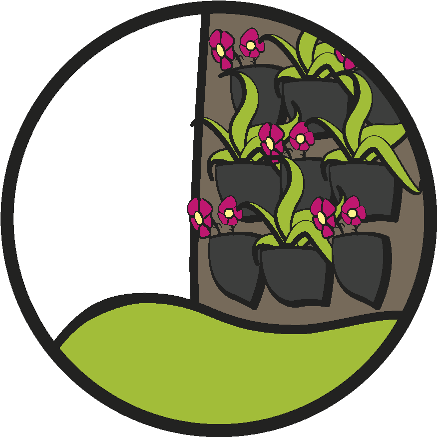 Muros Vivos O Jardines Verticales - Muros Vivos O Jardines Verticales (1185x876)