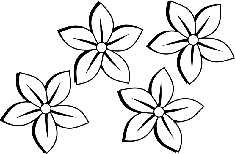 Flower Clipart Black And White Free Many Interesting - Simple Flowers To Draw (800x527)