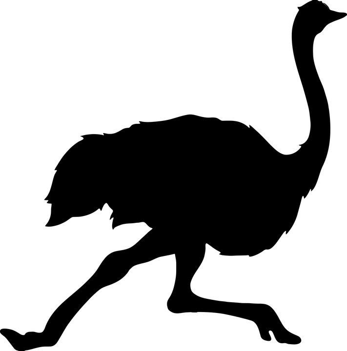 Silhouette Of An Ostrich (711x720)