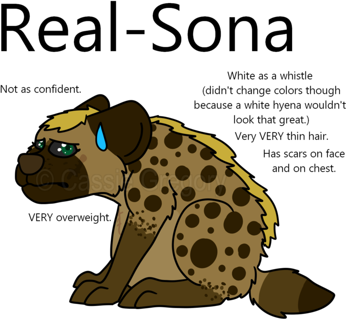 Real Sona By The Smile Giver - Prg Unicamp (800x685)