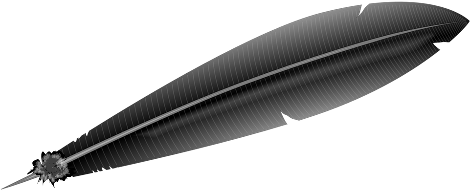 Feather, Pen, Raven, Black, Write, Wildlife, Quill - Feather Clip Art (960x480)