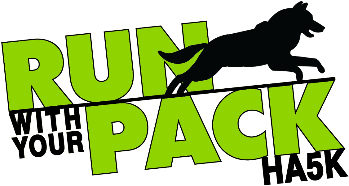 #ha5k - Twitter Search - Stallion (1200x661)