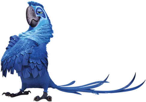 Rio Wallpaper Titled Eduardo - Rio 2 Pop Pop (500x500)