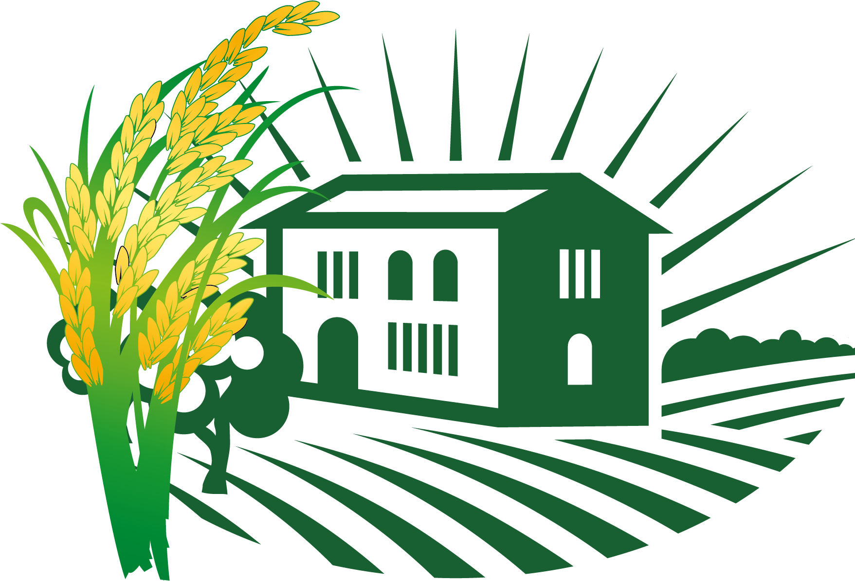 Rice Landscape Euclidean Vector - Carlisle Pennsylvania Throw Blanket (1877x1350)