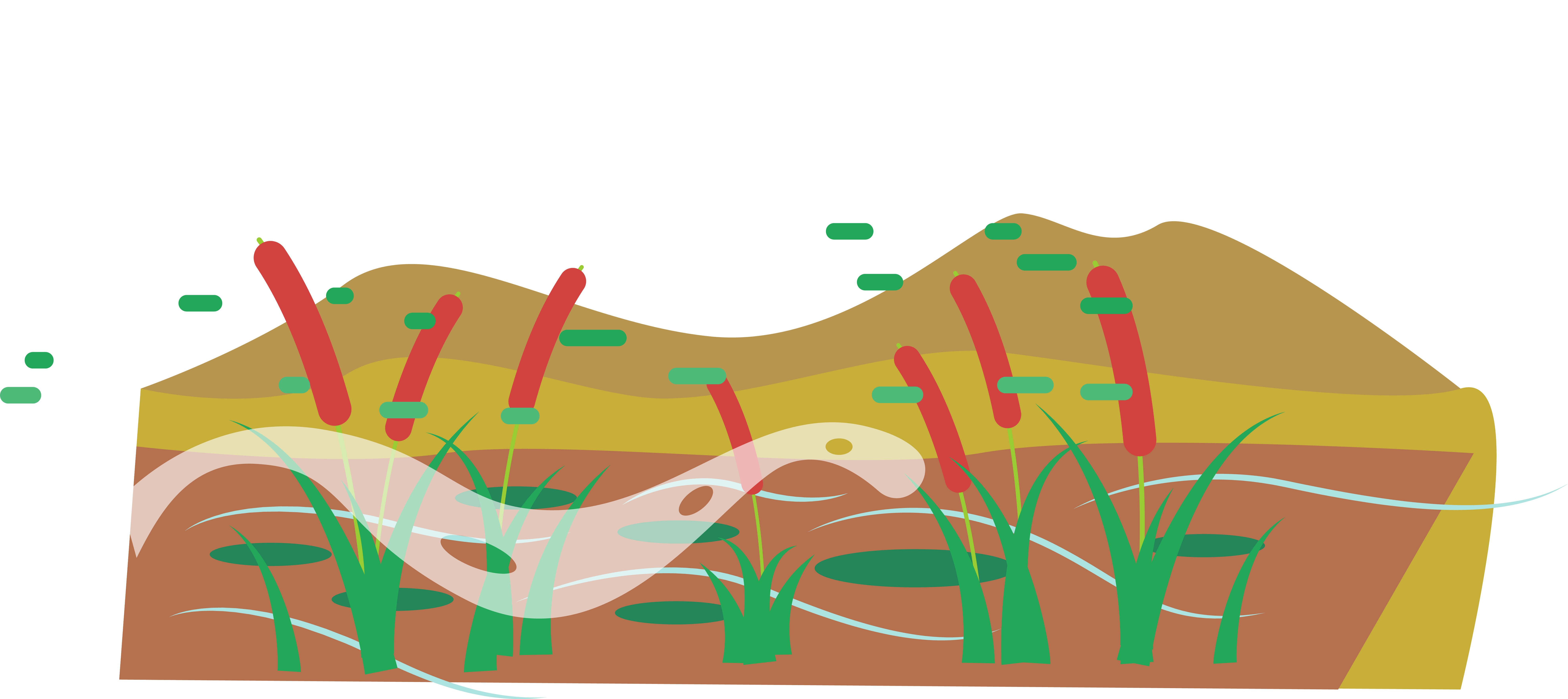 Paddy Field Euclidean Vector Icon - Illustration (7901x3524)