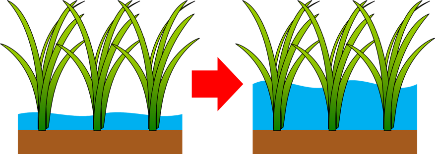 The Stork Friendly Farming Methods Requires Farmers - The Stork Friendly Farming Methods Requires Farmers (877x311)