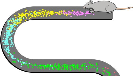 #plos #sfn15 Recap - Place Cell (690x320)