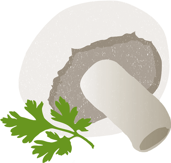 Cheddar Cheese - Mushroom - Mushroom (700x650)