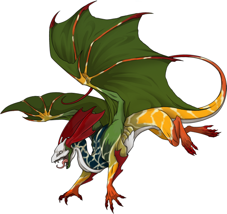 Peacock Mantis Shrimp - Dragons (750x750)