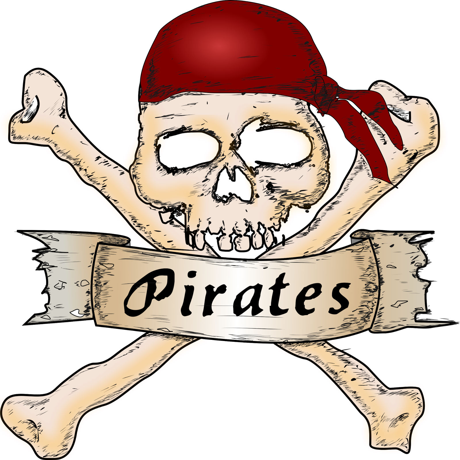 I Used To Tell People I Write Sword & Sorcery And Epic/heroic - Pillow Case Simply Pirates Skull & Crossbones (1600x1600)