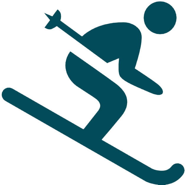 Wintergreen Ski Trip - Skiing Icon Black (626x626)