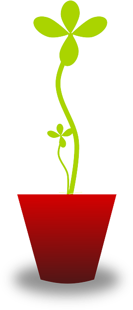 Plant, Pot, Tender, Delicate, Seedling, Growth, Growing - Vector Graphics (320x640)