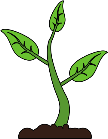 Plant Growing From Ground - Vector Marketing (550x550)