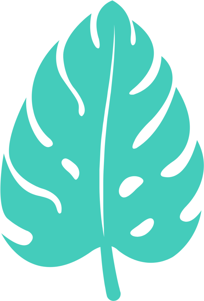 House Plants For All - House Plants For All (1000x1333)