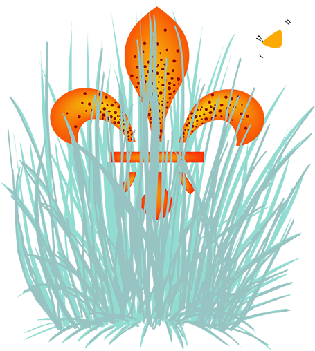 And Picking The Right Plants To Match The Site Conditions, - Grass (512x512)