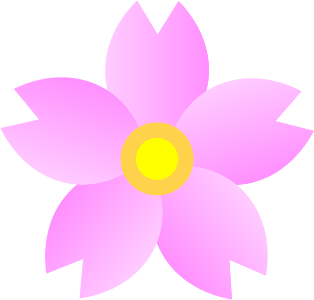 Petal Flower Cherry Blossom Clip Art - Illustration (640x620)