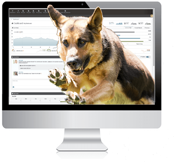 October 10, - Luigi's Pizza (700x583)