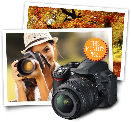 Enter To Win A Digital Camera And Get A Coupon For - 375 Astuces De Photo Numérique [book] (520x480)