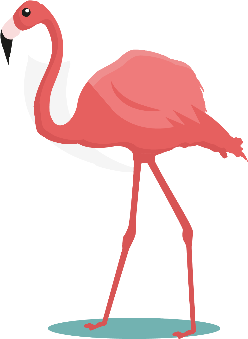 Flamingos Bird Common Ostrich Parrot Cartoon - Bird (2836x2836)