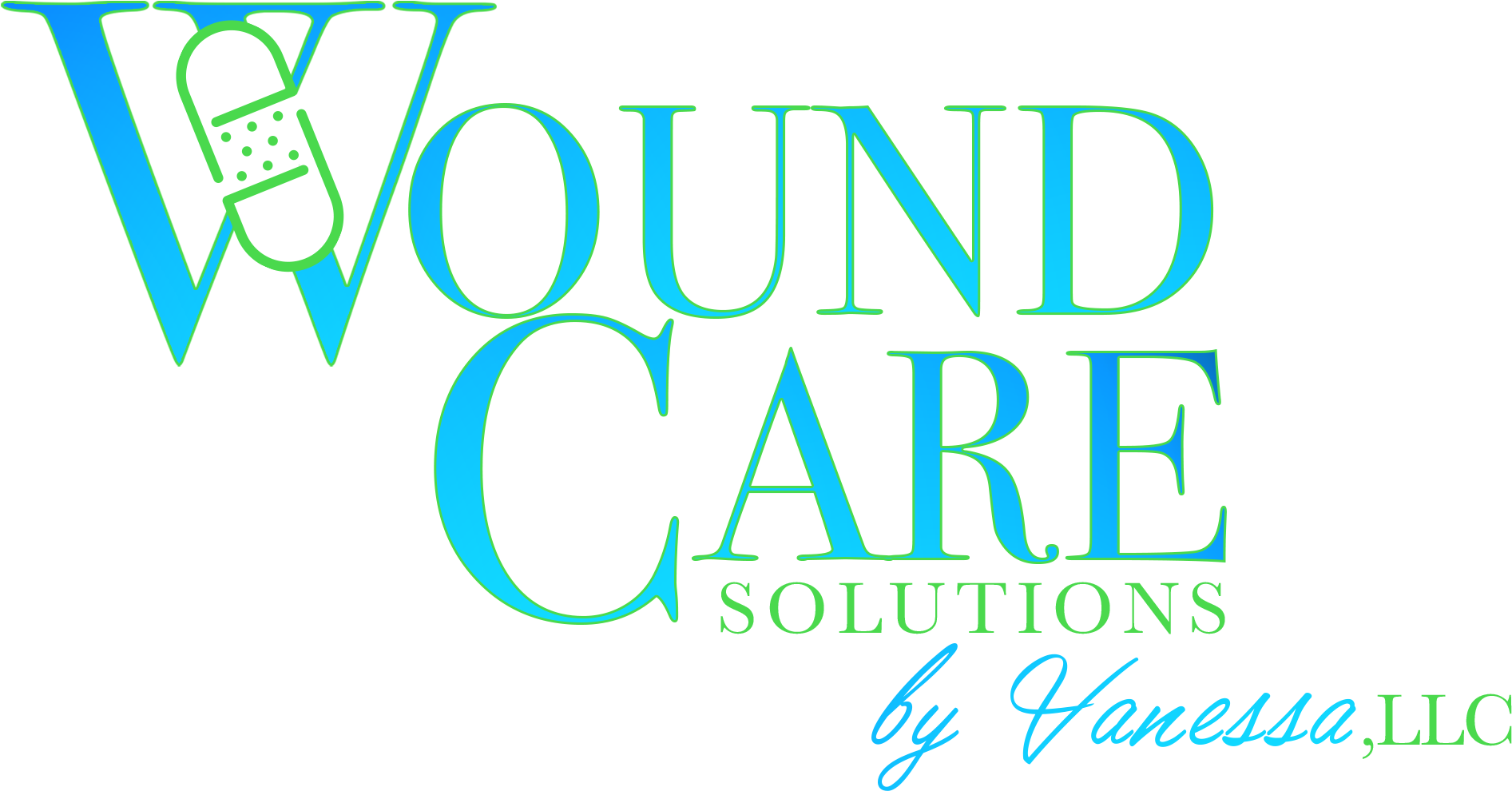 Wound Care Solutions By Vanessa, Llc Is A Home-based - Mio Amico Cane (il) (4 Dvd) (3300x1057)