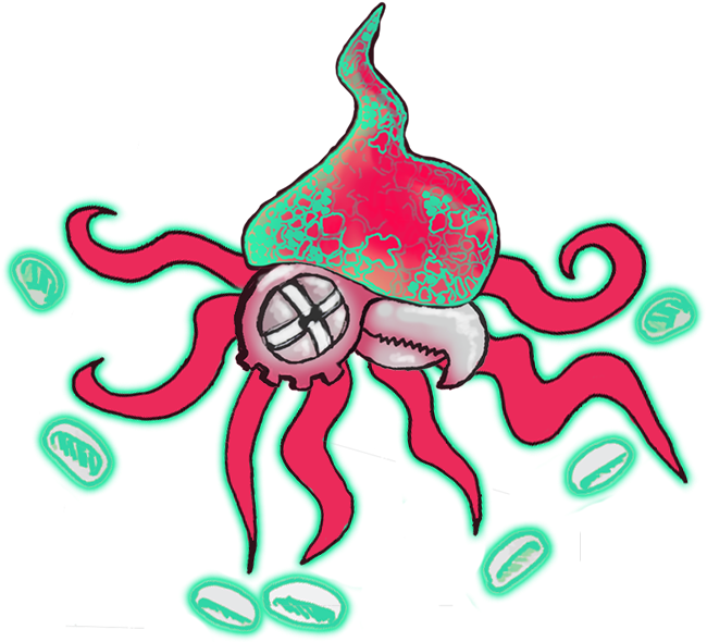 Squid 2 - Transparent Background Ink Squid Gif (655x600)